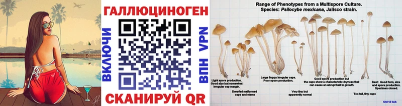 Купить  Минеральные Воды  Псилоцибиновые грибы MAGIC MUSHROOMS 